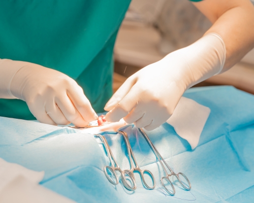 La Importancia de Elegir Instrumentos Quirúrgicos a Medida para Garantizar la Precisión en los Procedimientos
