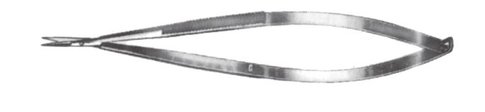 Tijera para Iridectomía de Noyes, Delicada - Longitud de 10,5 cm