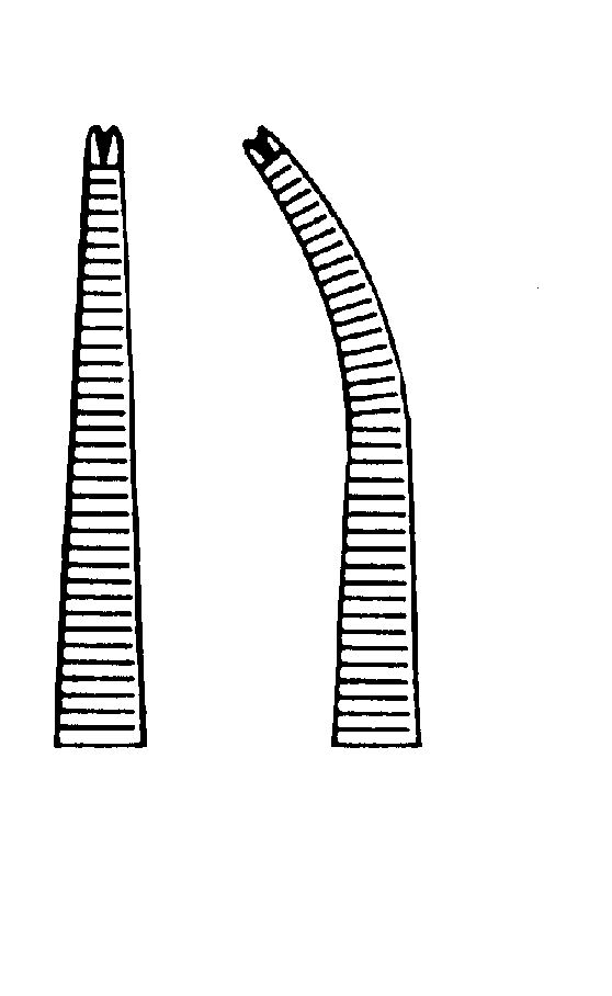 Pinza Hemostática de Halsted-Mosquito, Dentada - Longitud de 12,5 cm