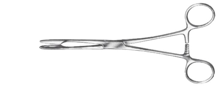 Pinza para Esterilización, Curva - Longitud de 20 cm