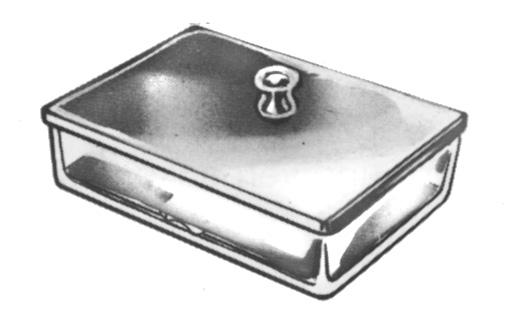 Bandeja de Cristal con Tapa - Tamaño de 200 x 100 x 50 mm