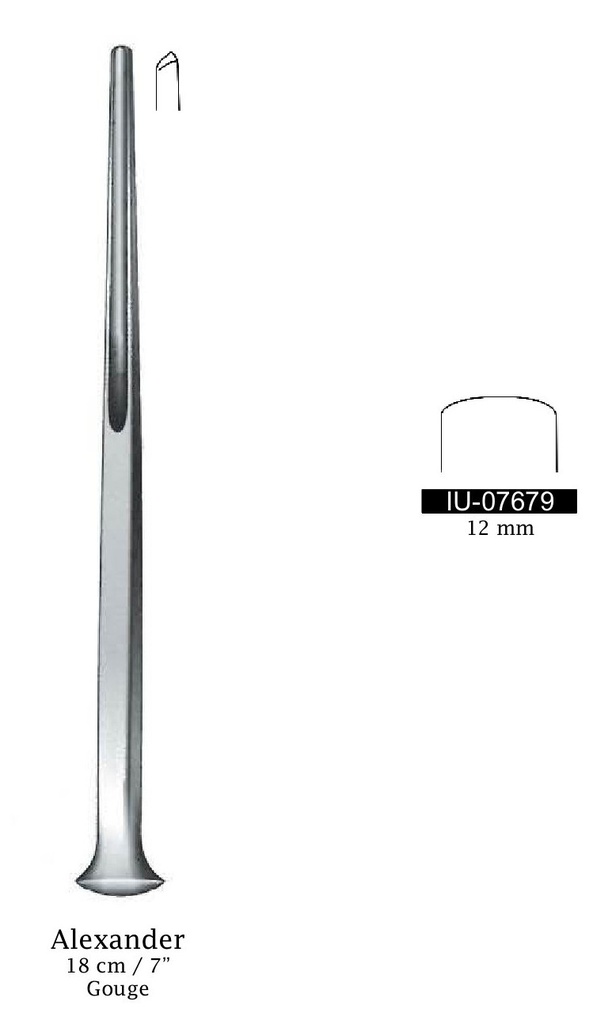 Gubia Alexander - longitud = 18 cm / 7", ancho = 12 mm