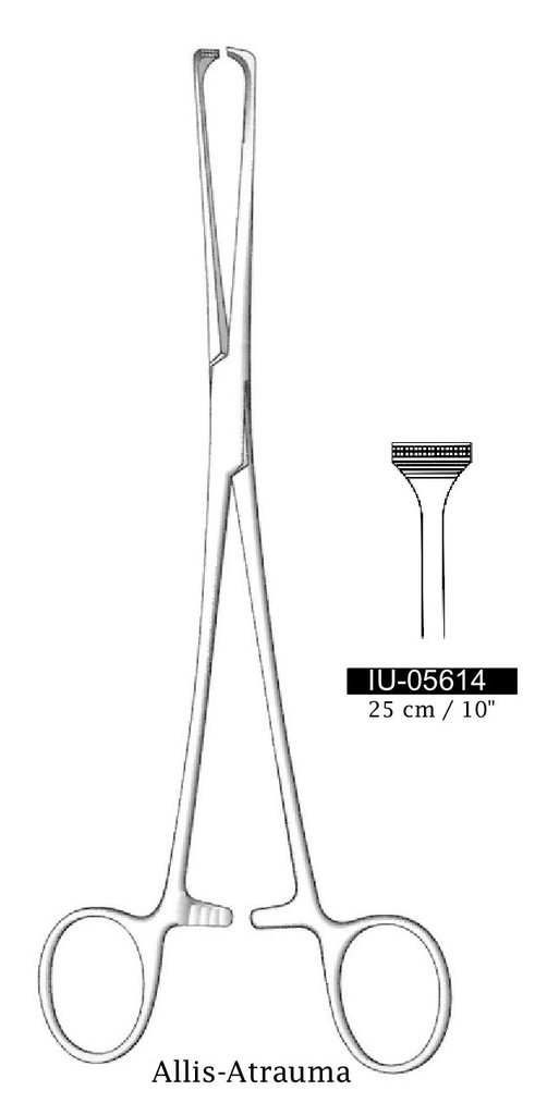 Pinza de sujeción intestinal y tejido Allis-Atrauma - longitud = 25 cm / 10"