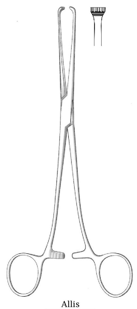 Pinza de órganos y tejidos de Allis Babcock - longitud = 20 cm / 8", dientes = 5:6