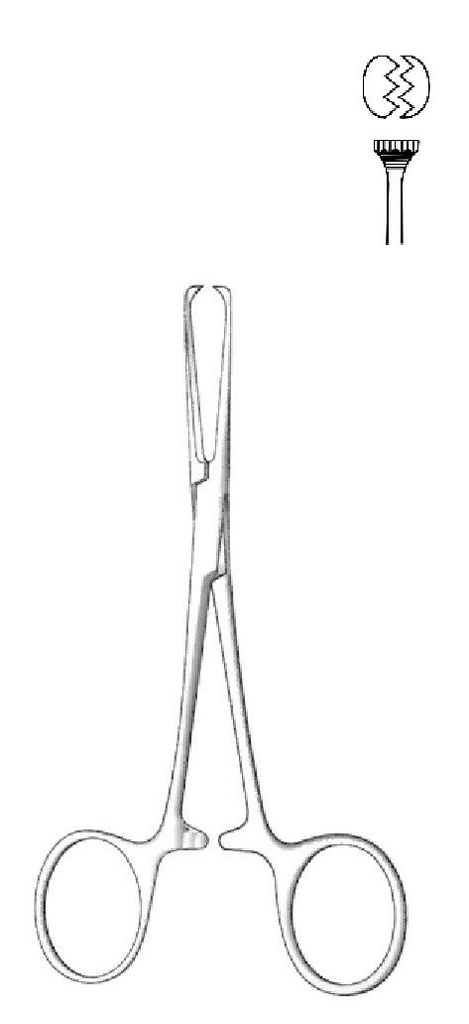 Pinza de sujeción de órganos y tejidos Allis-Baby - longitud = 18 cm / 7", dientes = 3:4