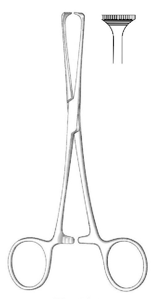 ALLIS -ADAIR tissue clamping clamp - length = 15 cm / 6 ", teeth = 10:11