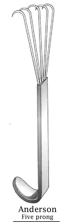 Retractor de garra Anderson, largo, 5 puntas