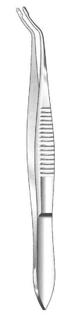 Wrinkle Capsule Forceps - length = 9.5 cm / 3-3/4"