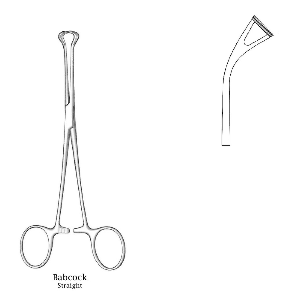 Babcock tissue clamping clamp - length = 24 cm / 9-1 / 2 ", 45 ° angle