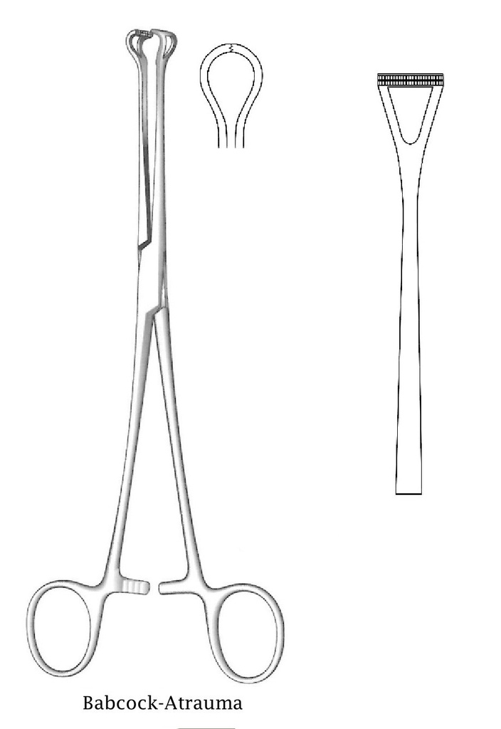 Babcock -Atrauma tissue clamp - length = 20 cm / 8 "