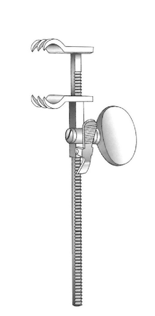 Bailey -Baby rib approach - length = 15.5 cm / 6 "