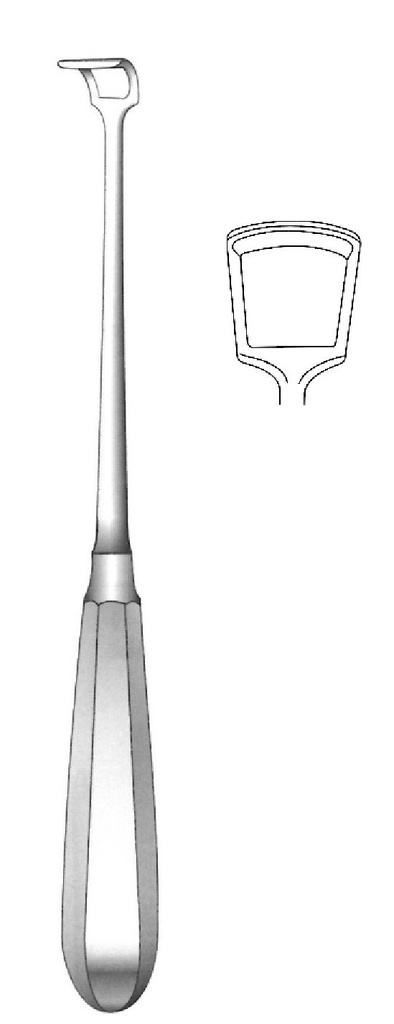 Cureta adenoides de Beckmann, figura 1 - longitud = 22 cm / 8-3/4"