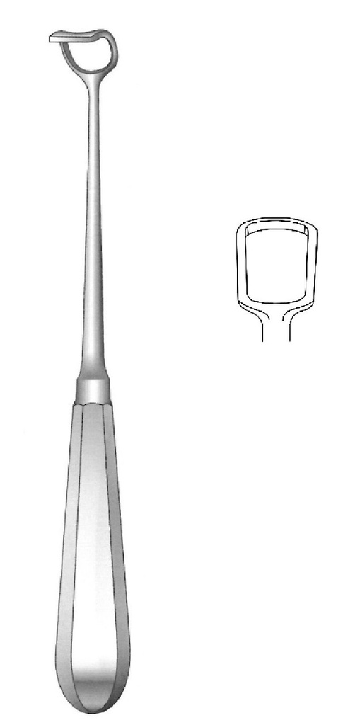 Cureta adenoides de Beckmann, ancho =  16 mm - longitud = 22 cm / 8-3/4"