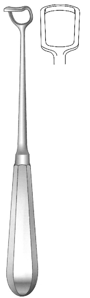Cureta adenoides de Beckmann, ancho =  17 mm - longitud = 22 cm / 8-3/4"