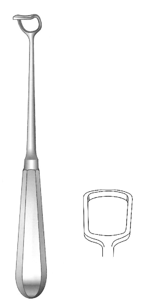 Cureta adenoides de Beckmann, ancho =  20 mm - longitud = 22 cm / 8-3/4"