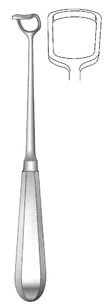 Cureta adenoides de Beckmann, ancho =  21 mm - longitud = 22 cm / 8-3/4"