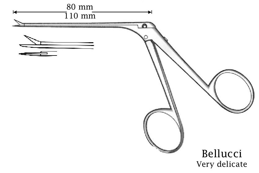 Bellucci micro ear scissors, black finish, straight - shaft length = 110 mm