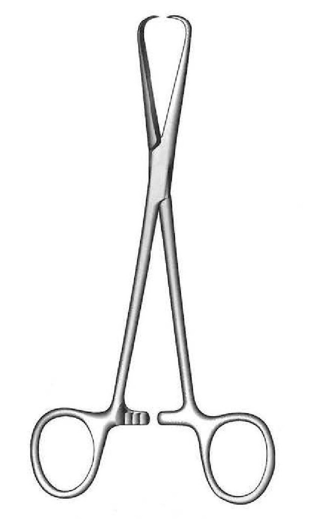 Pinza toalla Bernhard - longitud = 16,5 cm / 6-1/2"