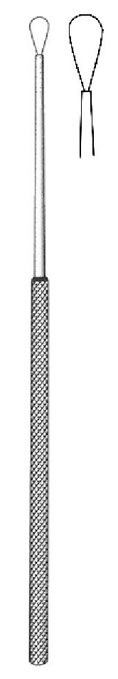 Cureta Billeau, punta = 5.5 mm - longitud = 16.5 cm / 6-1/2"
