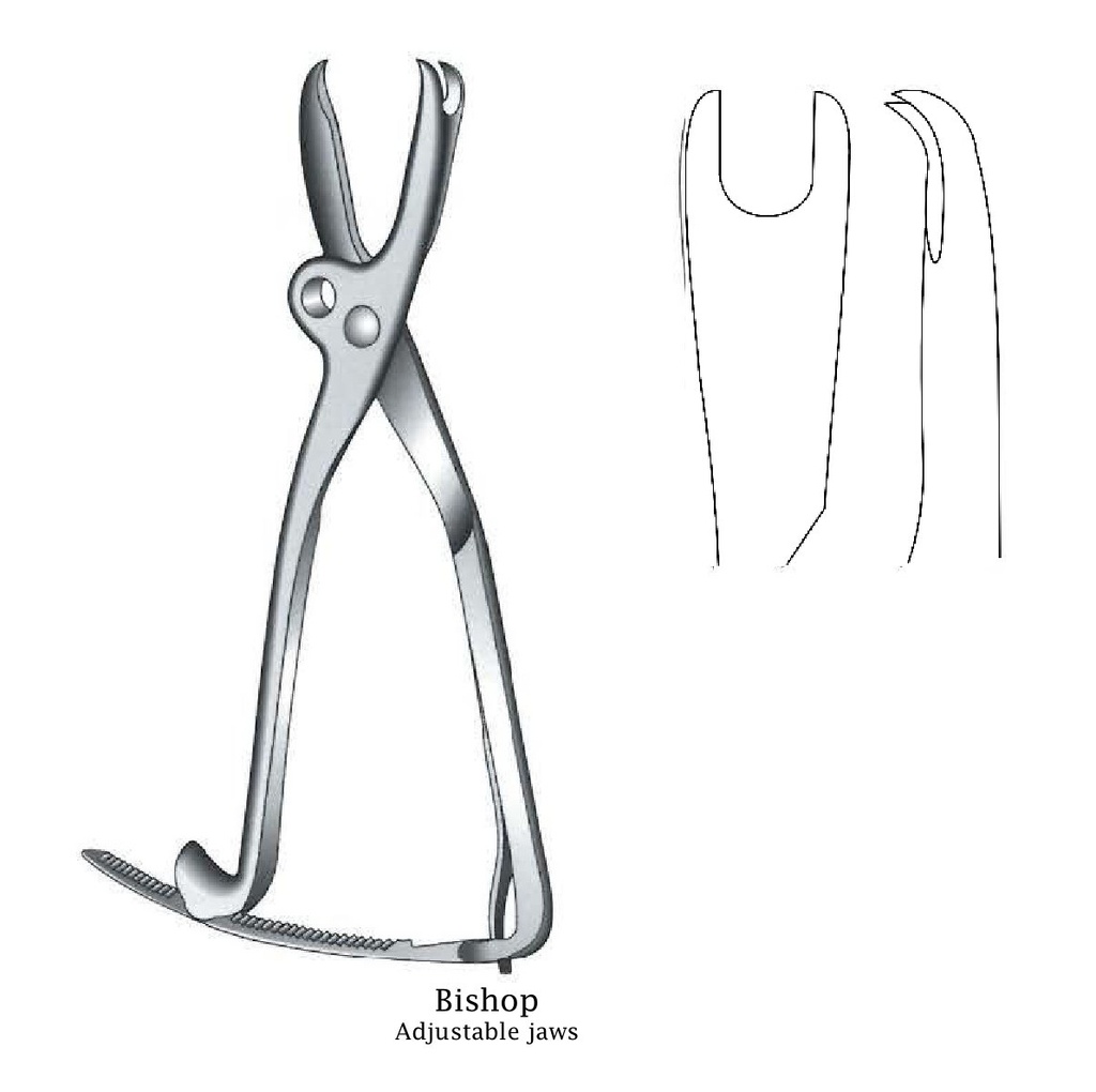 Bishop Bone Holding Forceps, adjustable tip - length = 32.5 cm / 13"