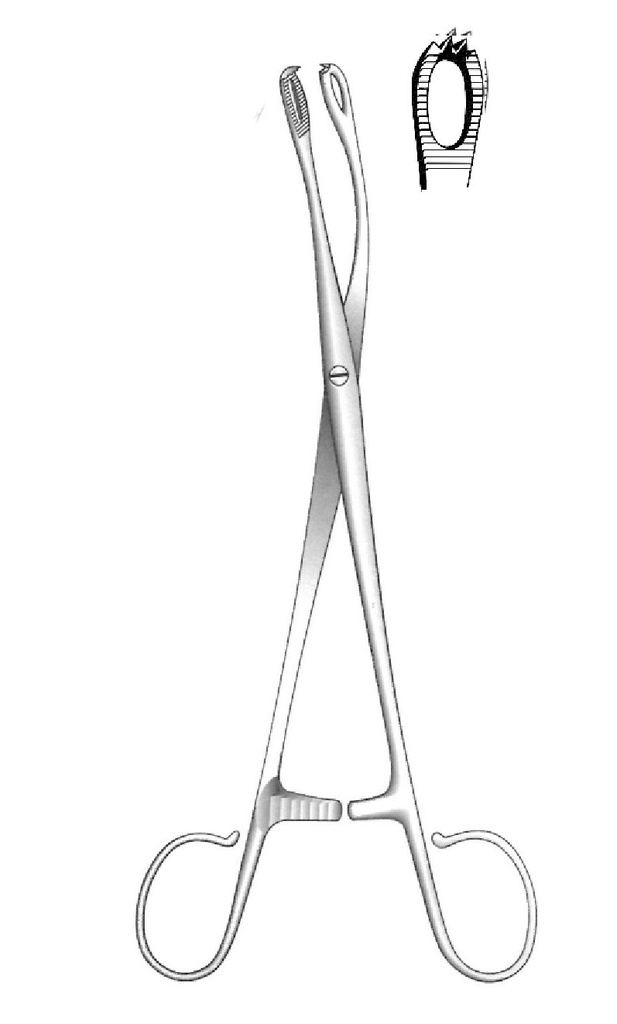 Pinza para amígdalas Blohmke - longitud = 20 cm / 8"