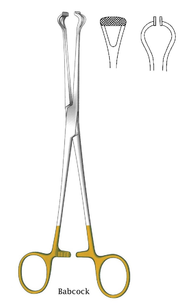 Pinza para órgano y tejido de Babcock - longitud = 18 cm / 7", dentado = 0.5 mm, recto, perfil normal, TC Gold