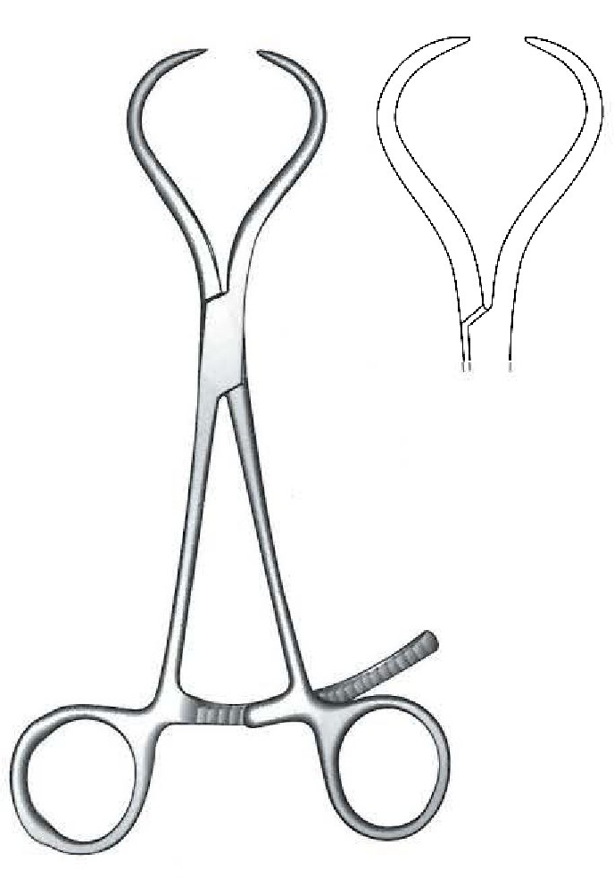 Bone fragments clamp - length = 16 cm / 6-1 / 4 "