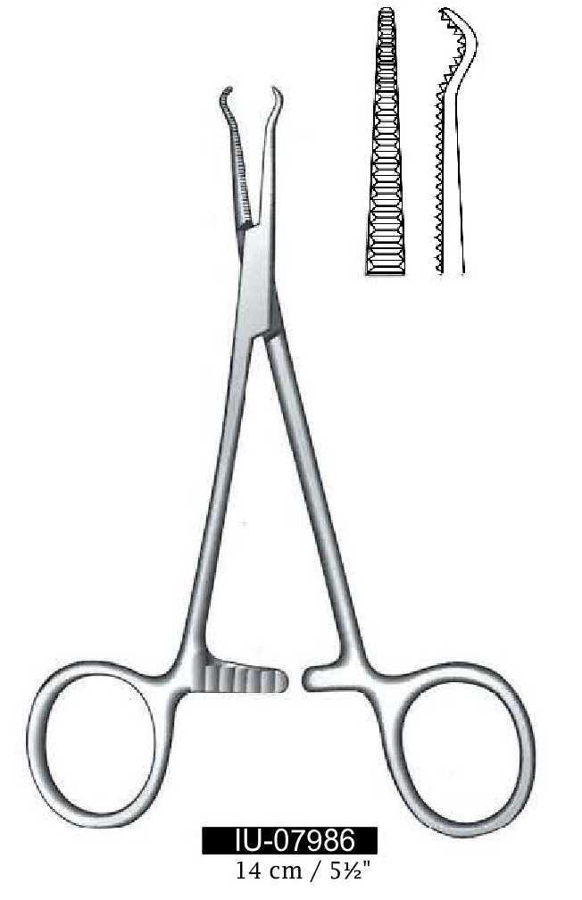 Pinza de sujeción para huesos, dentado