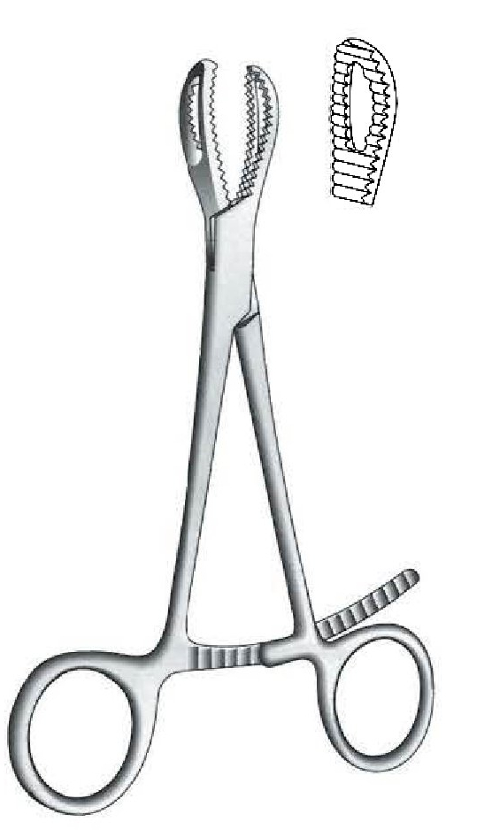 Bone clamping clamp, fenestrated jaws