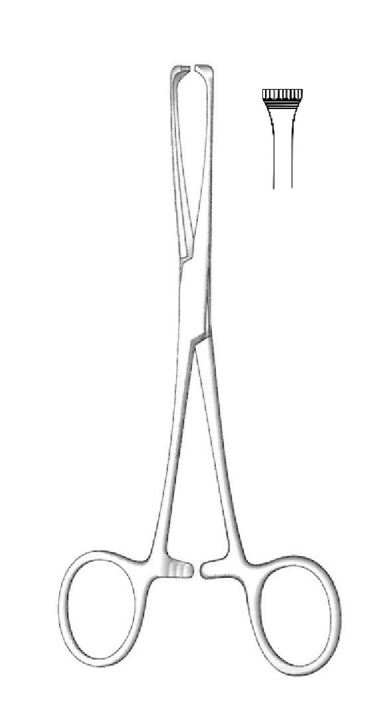 Boys-Allis Tissue Forceps, teeth = 7:8 - length = 15 cm / 6"