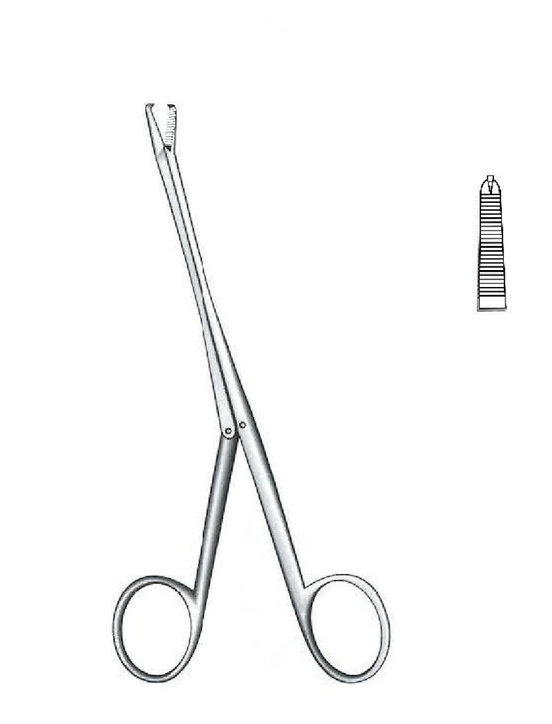 Pinza de sujeción para tendones Brand - longitud = 19 cm / 7-1/2"