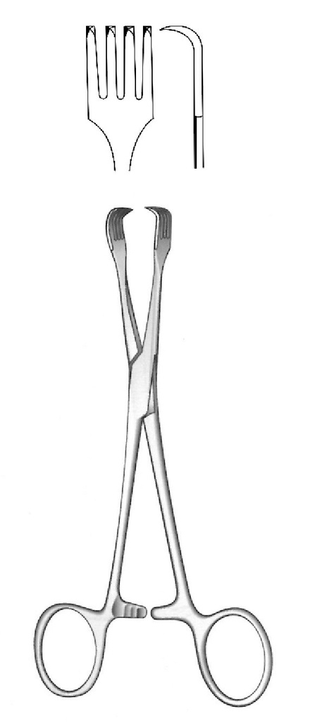 Braun Tenaculum Forceps - length = 15.5 cm / 6-1/4"