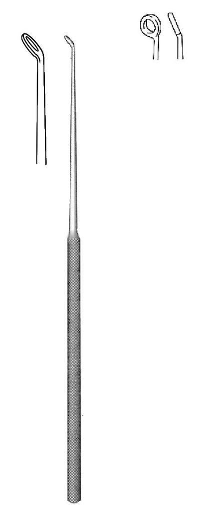 Cureta de oído Buck, mango redondo, desafilada, figura 2 - longitud = 16.5 cm / 6-1/2"