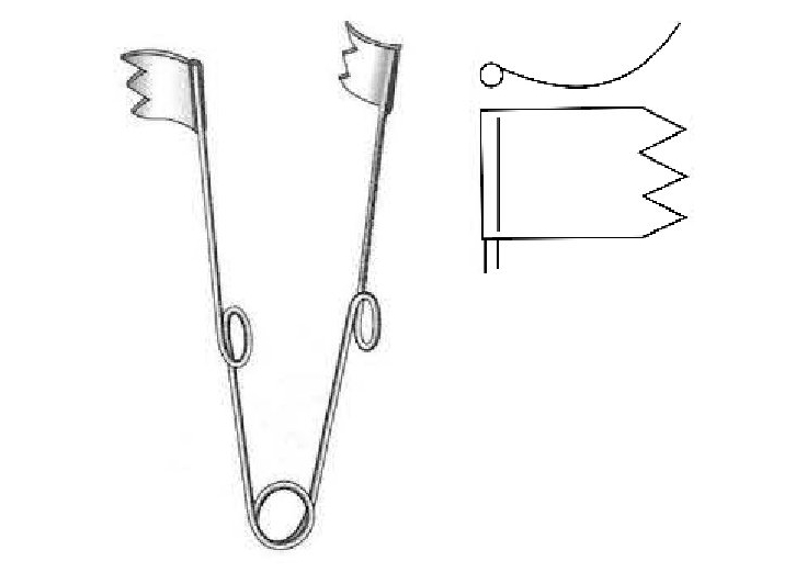 Buckley Retractor - length = 8 cm / 3-1/4"