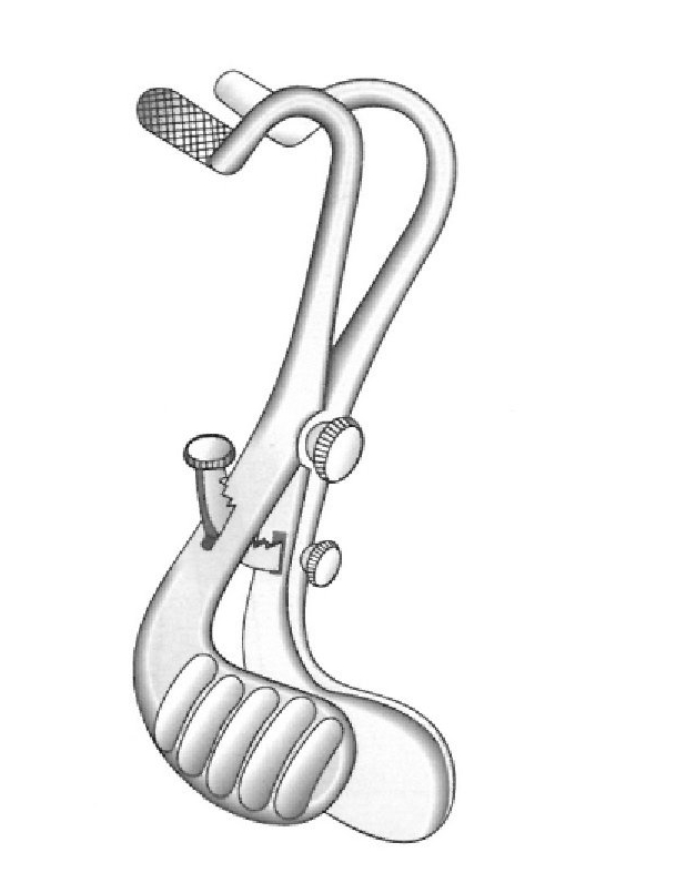 Buxton mouth gag with ackland teeth