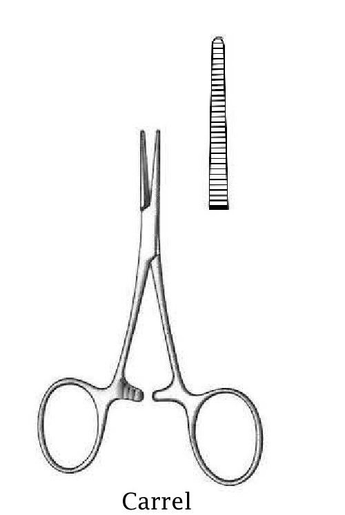 Carrel artery forceps - length = 10 cm / 4"