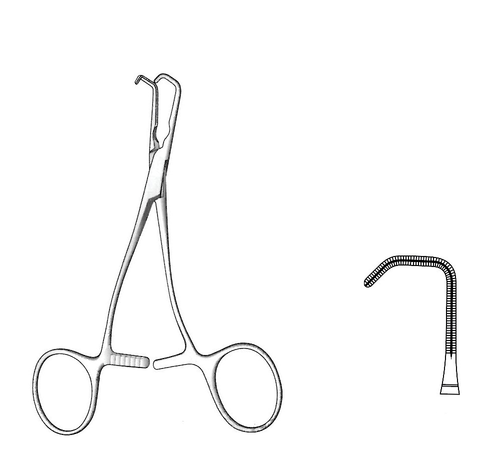Pediatric Castaneda forceps, figure 13 - length = 13 cm / 5"