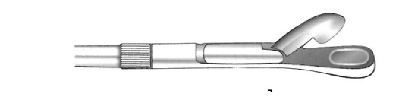 Pinza para biopsia con mango