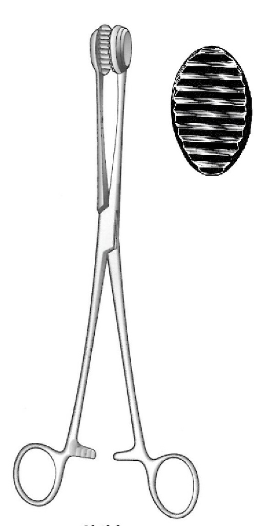 Child Intestinal Forceps - length = 24 cm / 9-1/2"