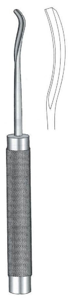 Gubia espinal Cobb, curva mediana, ancho de valva = 7 mm - longitud = 28 cm / 11"