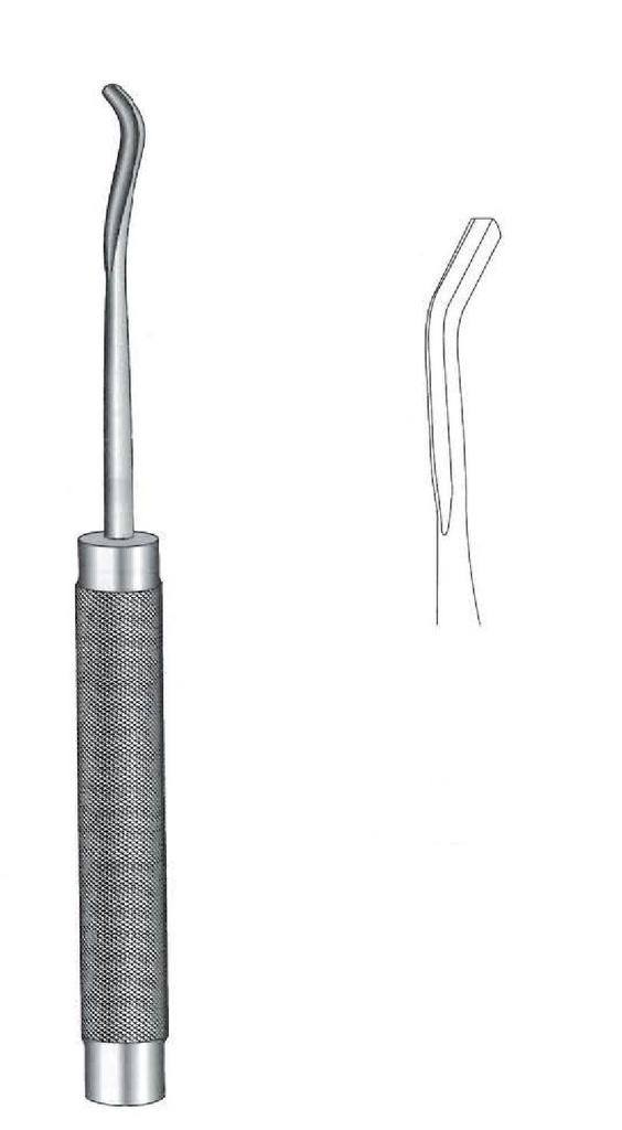 Gubia espinal Cobb, curva inversa, ancho de valva = 7 mm - longitud = 28 cm / 11"