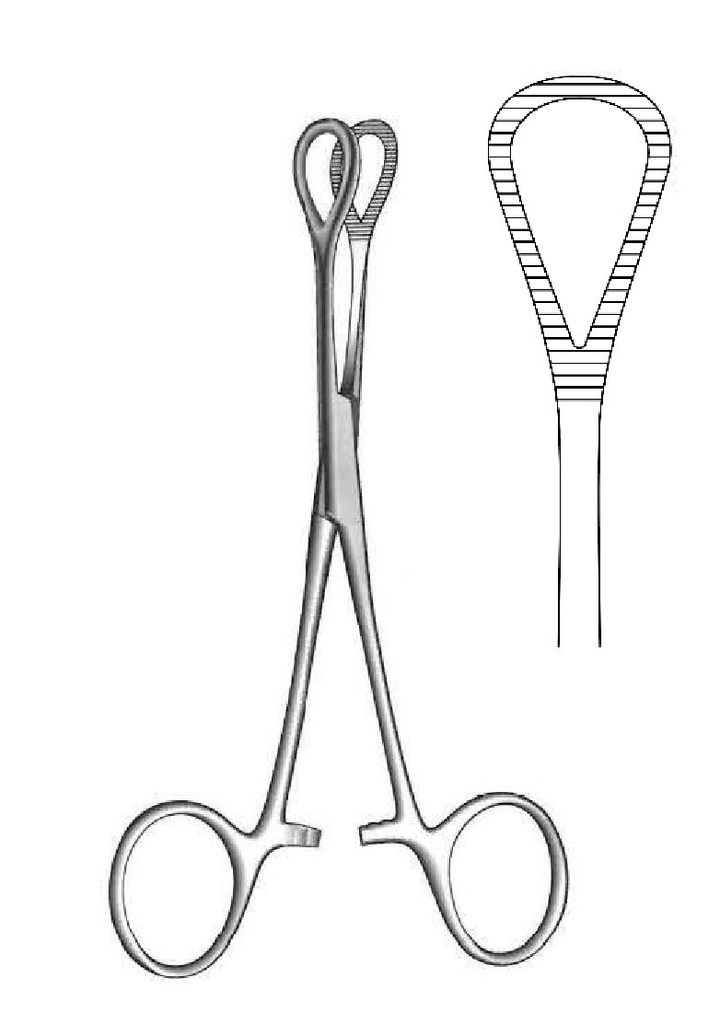 Pinza para sujetar órganos Coeur - longitud = 16 cm / 6-1/4"
