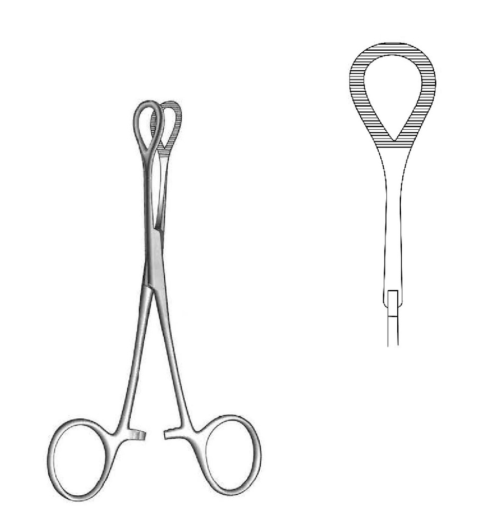 Coeur Organ Holding Forceps - length = 20 cm / 8"