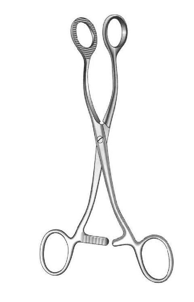 Pinza para agarrar órganos Collin, forma circular - longitud = 16 cm / 6-1/4"