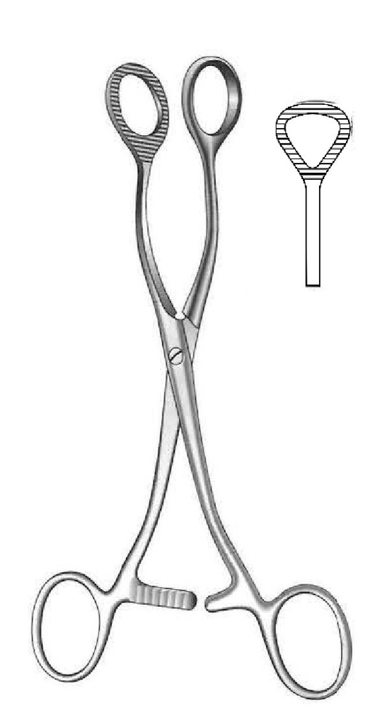 Pinza para agarrar órganos Collin, forma triangular - longitud = 16 cm / 6-1/4"