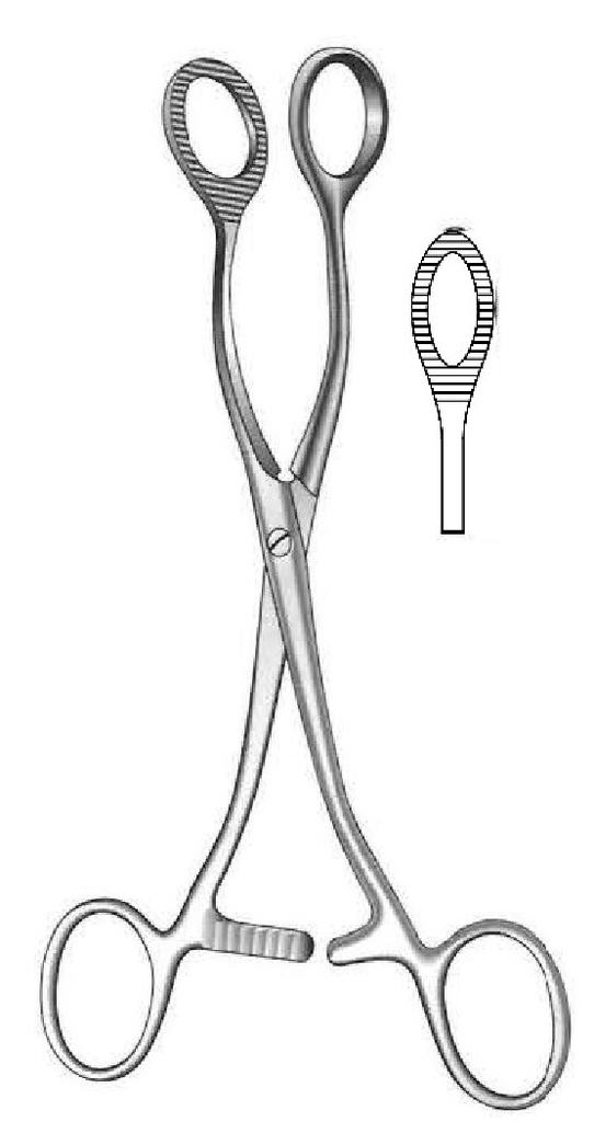 Collin Organ Grasping Forceps, oval shape - length = 16 cm / 6-1/4"