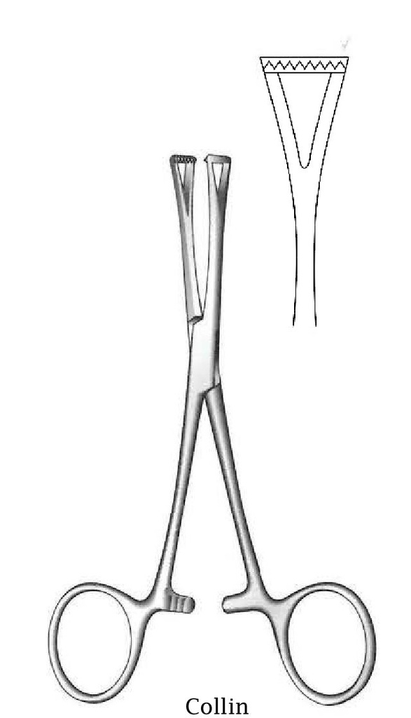 Collin Tissue Forceps - length = 14 cm / 5-1/2"