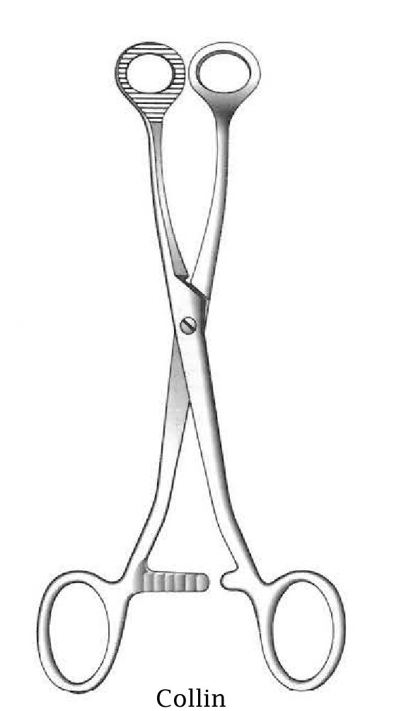 Collin Tongue Holding Forceps Figure 1 - length = 16 cm / 6-1/4"