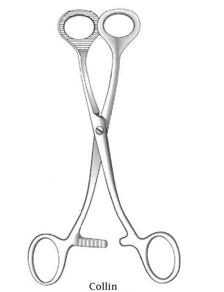 Collin Tongue Holding Forceps - length = 19 cm / 7-1/2"