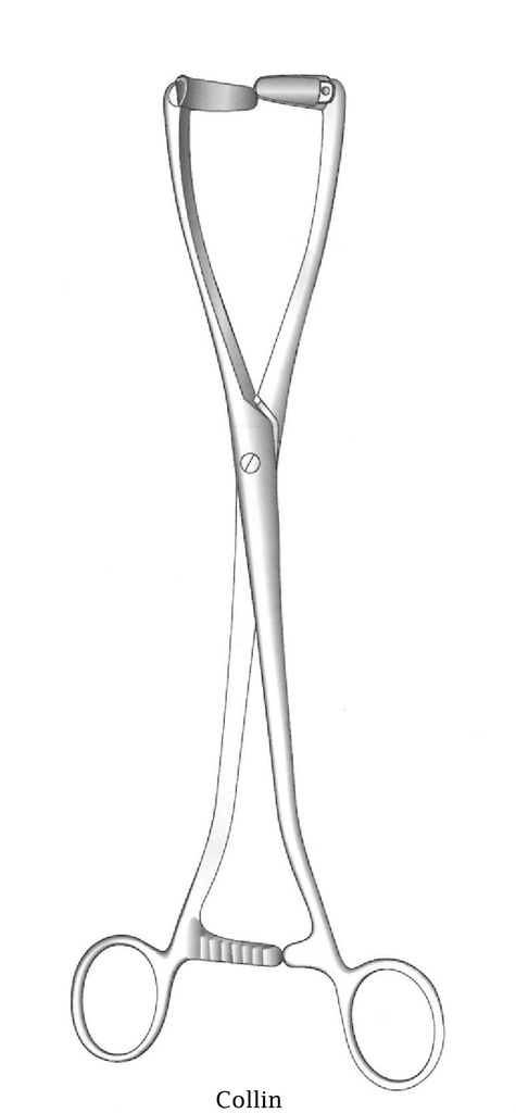 Pinza para agarre uterino Collin - longitud = 25 cm / 10"